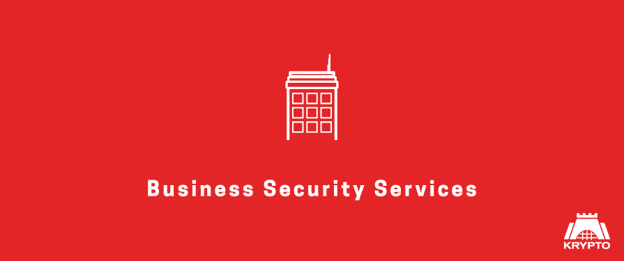 Business security services