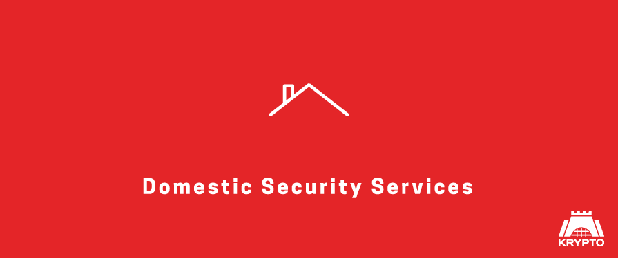 Domestic Security Services